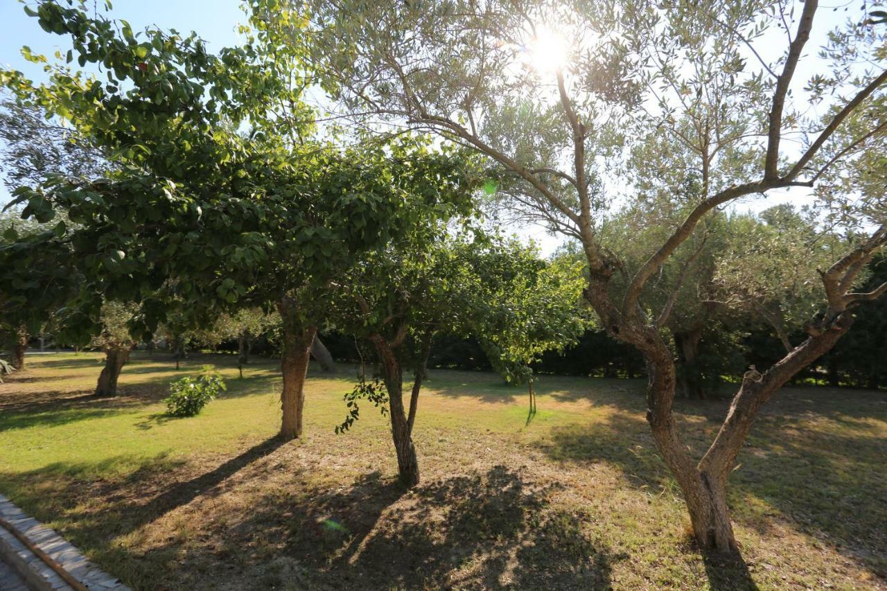 Villa Argo 3 - Beachfront, Big Gardens, Location! Pefkochori Ngoại thất bức ảnh